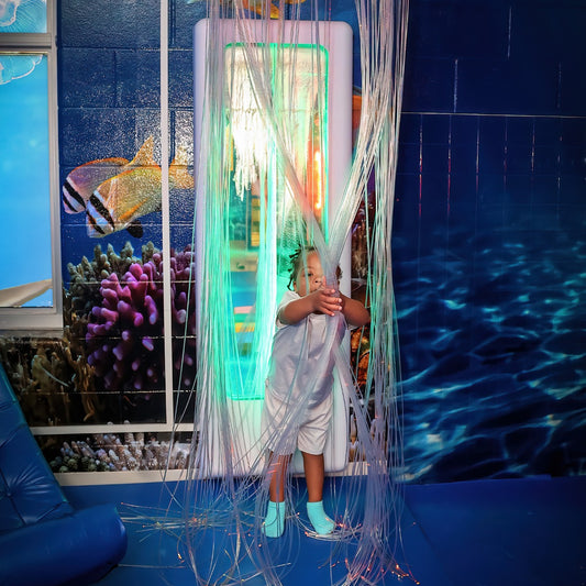 Fiber Optic Strands With Lightsource