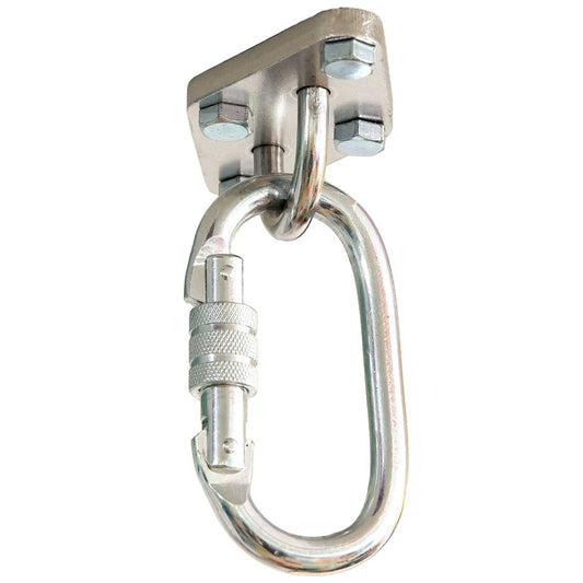 Oval Carabiners - Set of 2