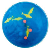 Start Strong Kit - Early Childhood