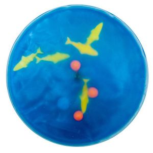 Start Strong Kit - Early Childhood