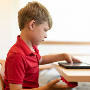 Anemone Desk Fidgets - Set of 3