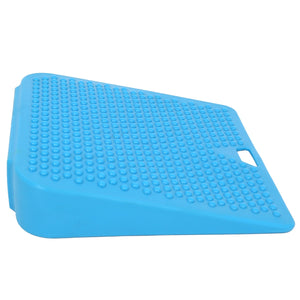 Lean 'N Learn Wedge Cushion