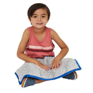 Minky Weighted Lap Pad