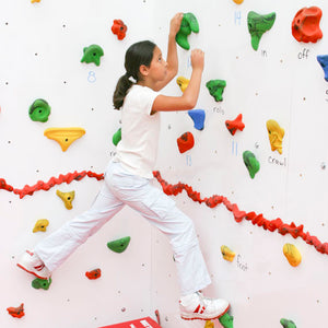 Discovery Dry Erase Climbing Wall 8'