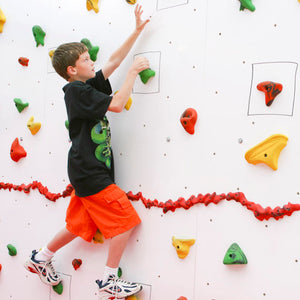 Discovery Dry Erase Climbing Wall 8'