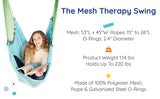 Mesh Therapy Swing