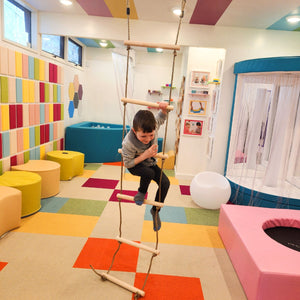 Climbing Ladder Swing