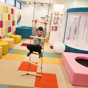 Climbing Ladder Swing