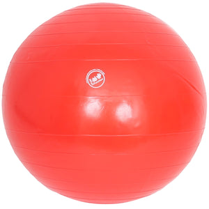 Therapy Balls