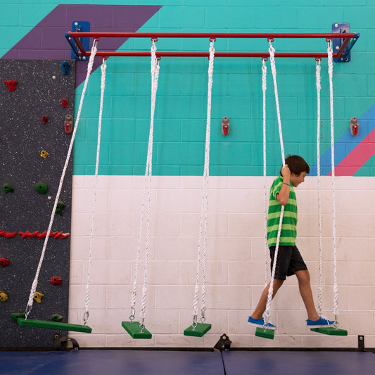 Safari Jungle Gym Swing Steppers