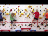 Adaptive Climbing Wall