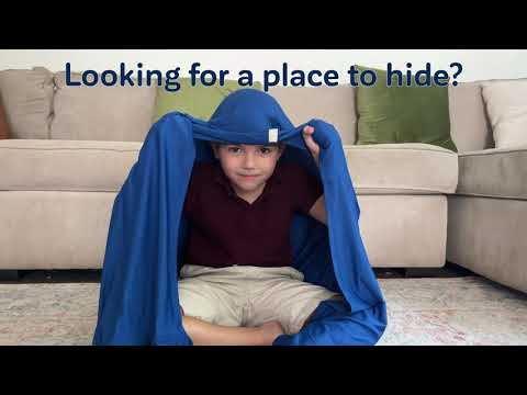 Transformer Sensory Sack™