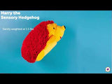 Harry the Sensory Hedgehog