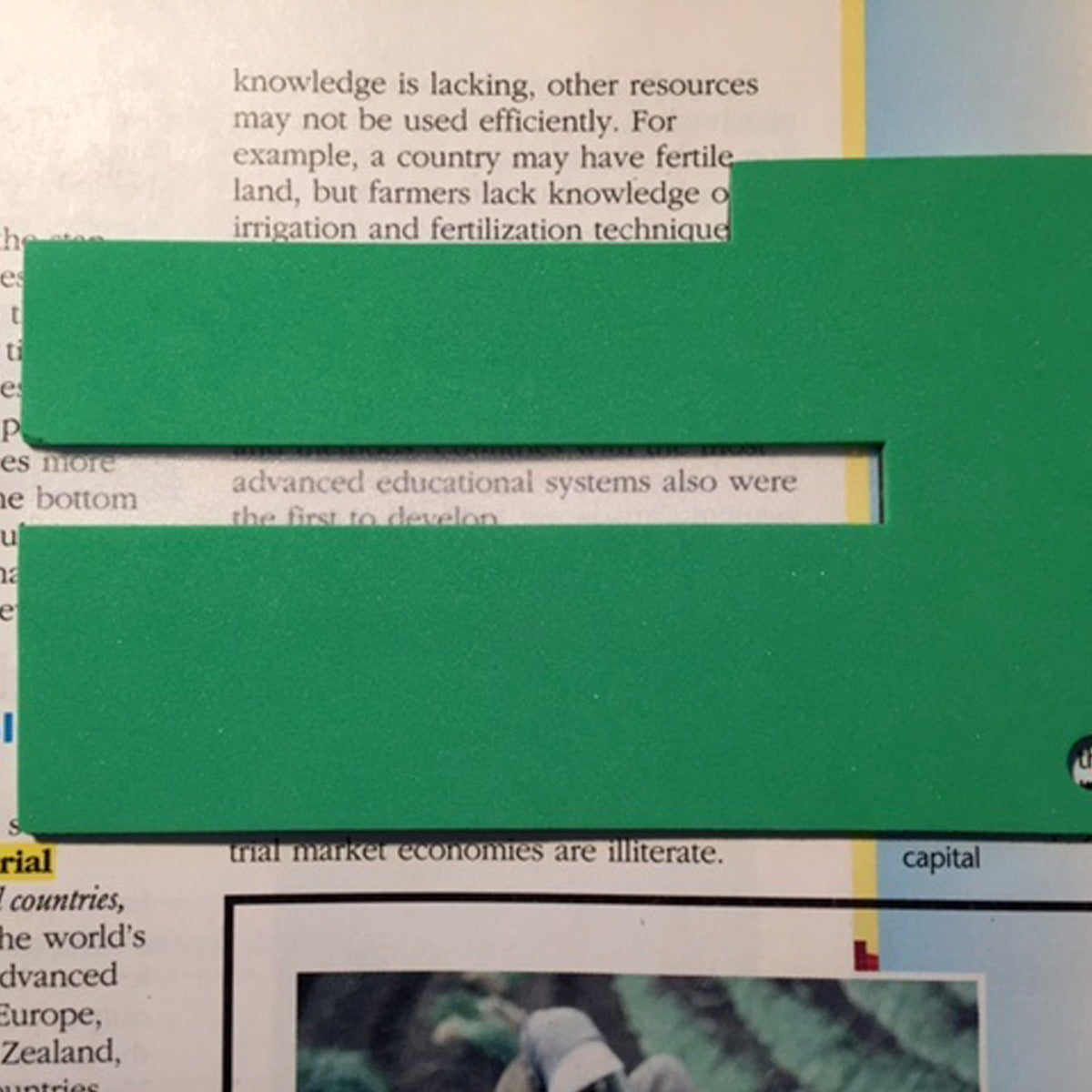 Reading Focus Card Combo - Set of 2