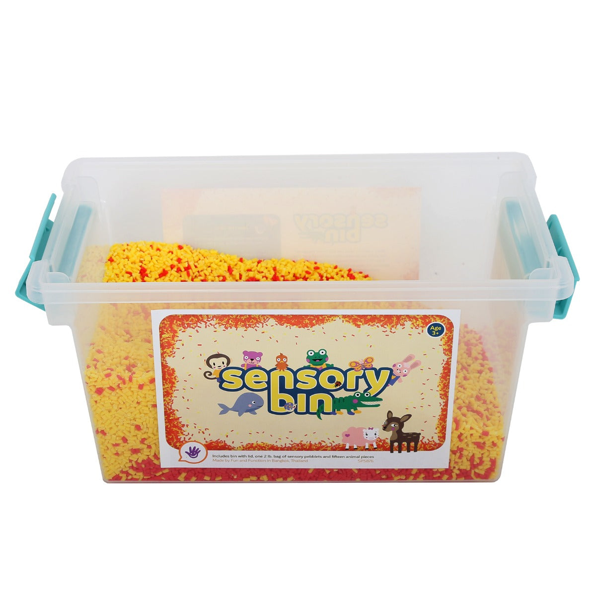Sensory Bin