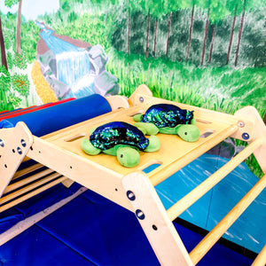 Weighted Shimmery Turtle