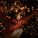 Fiber Optic Wall Carpet