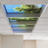 Spring LED Ceiling Lights