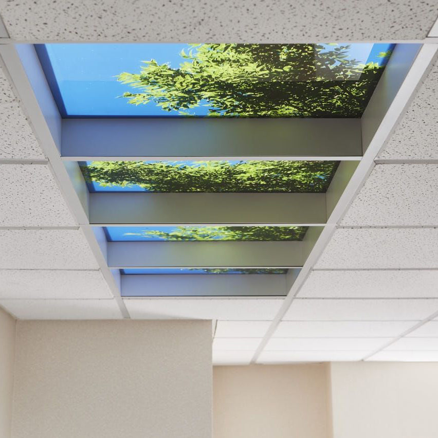 Spring LED Ceiling Lights