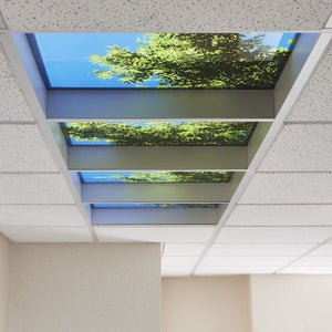 Spring LED Ceiling Lights