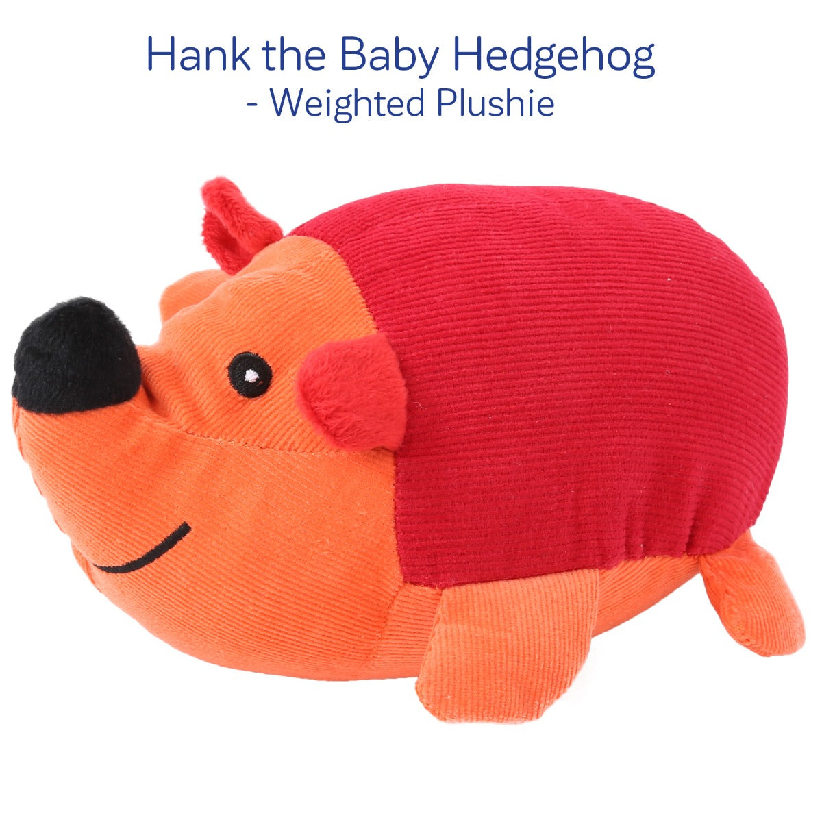 Early Childhood Sensory Toolkit™