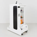 Mobile Sensory Cart