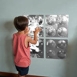 Convex Mirrors- Set of 4