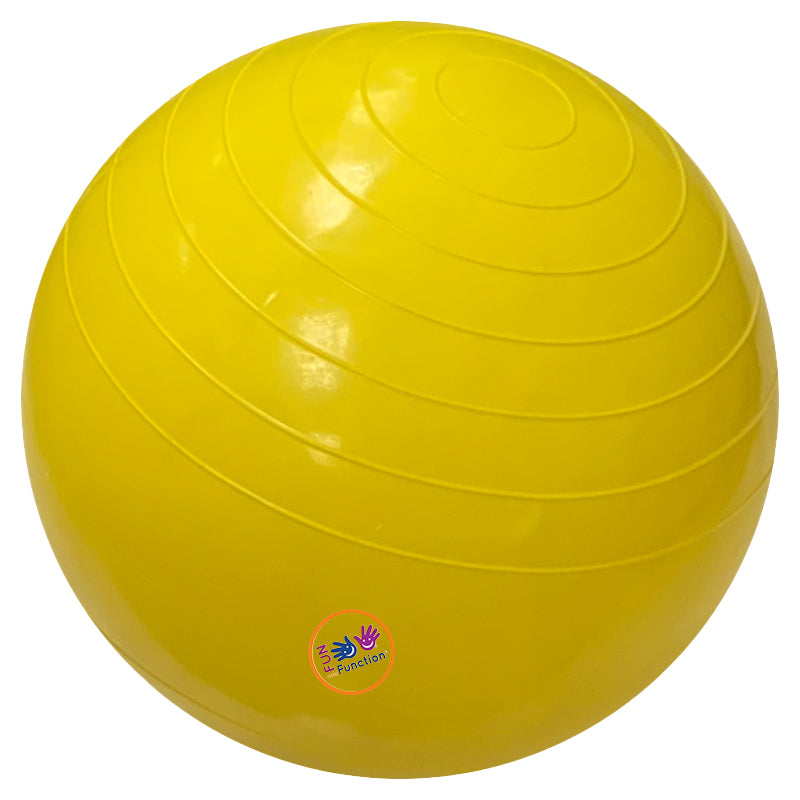 Therapy Balls