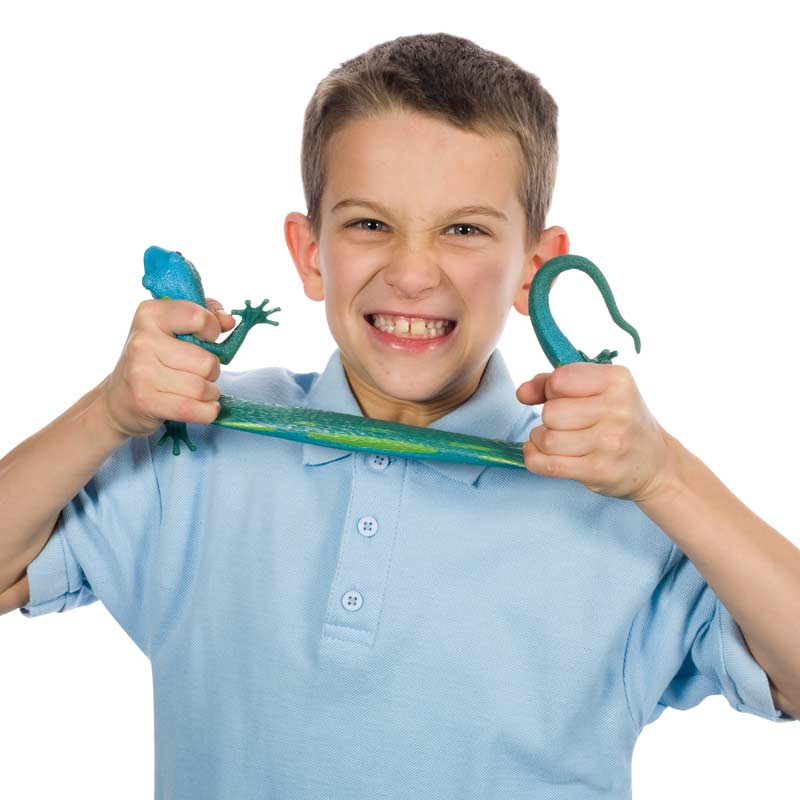 Lizard Squishanimals - Set of 3