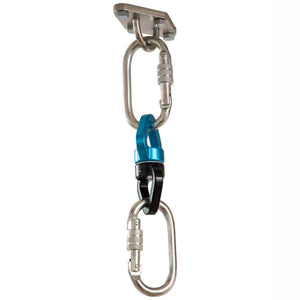 Oval Carabiners - Set of 2