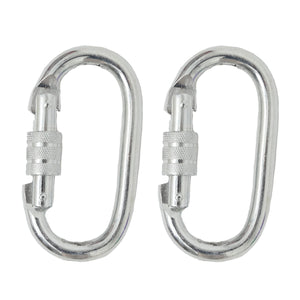 Oval Carabiners - Set of 2